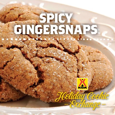 Spicy Ginger Cookies, Holiday Party Treats, Spicy Gingerbread, Gingerbread Recipes, Ginger Cookie Recipes, Holiday Cookie Exchange, Gingerbread Recipe, Ginger Snap Cookies, Campfire Food