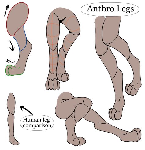 Drawing Anthropomorphic Animals by HeroDraws - CLIP STUDIO TIPS Anthro Paws Drawing, Back Paws Reference, Anthro Paw Reference, Drawing Tips Animals, Paws Art Reference, Drawing Anthropomorphic Animals, Anthro Base Drawing, Fursona Art Reference, Anthro Drawing Tips