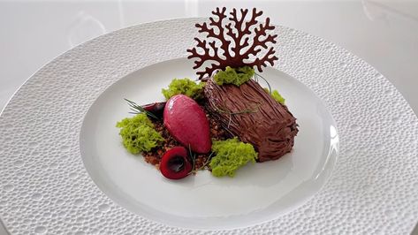 MICHELIN STAR Forest Dessert with Chocolate, Matcha & Cherry - Fine Dining Pastry Recipe - YouTube Michelin Chocolate Desserts, Chocolate Fine Dining Dessert, Fine Dining Desserts Michelin Star, Fine Dining Plating Michelin Star, Michelin Star Dessert Recipes, Michelin Dessert, Michelin Star Dessert, Forest Dessert, Dessert With Chocolate