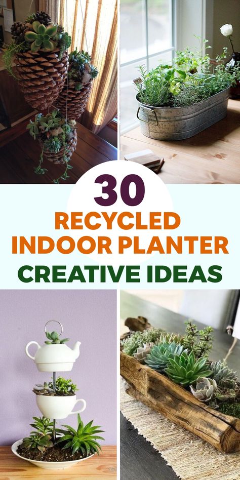 Explore sustainable living by incorporating greenery into your indoor space with these innovative upcycled indoor planter concepts. Repurpose unused mason jars or tin cans by sanitizing them and layering rocks at the bottom for proper drainage. Fill them with enriched soil and cultivate your preferred herbs or petite houseplants. To add a distinctive touch, transform old teacups or coffee mugs into planters by creating drainage holes at the base. Upcycled Planters Indoor, Diy Planters Indoor Creative, Old Mason Jars, Diy Cat Shelves, Diy Planters Indoor, Window Plant Shelf, Plastic Bottle Planter, Mason Jar Herb Garden, Upcycled Planter