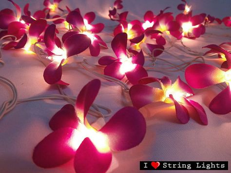 35 of Purple Frangipani Flower String Lights by LoveStringLights, $15.99 Hawaiian Wedding Themes, Flower Fairy Lights, Tropical Wedding Theme, Fairy Lights Wedding, Church Wedding Flowers, Hawaiian Homes, String Lights Wedding, Lights Wedding, Floral Home Decor