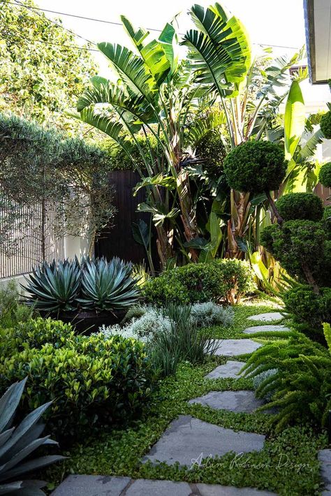 Landscape Design Clovelly — Adam Robinson Design Tropical Landscape Design, Small Front Gardens, Tropical Garden Design, Tropical Backyard, Minimalism Lifestyle, Budget Garden, Coastal Gardens, Side Garden, Outdoor Gardens Design