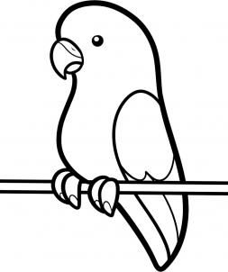 Parakeet colouring page Bird Drawing For Kids, Simple Bird Drawing, Shading Pencil, Birds For Kids, Bird Outline, Parrot Drawing, Art For Kids Hub, Animal Outline, Girl Drawing Easy