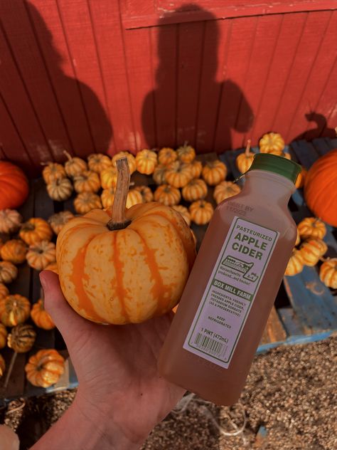 pumpkins and apple cider Apple Cider Drink Aesthetic, Hot Apple Cider Aesthetic, Apple Cider Aesthetic, 2024 Icon, Mood 2024, Apple Cider Drink, Fall Moodboard, Boo Basket, Hot Apple Cider