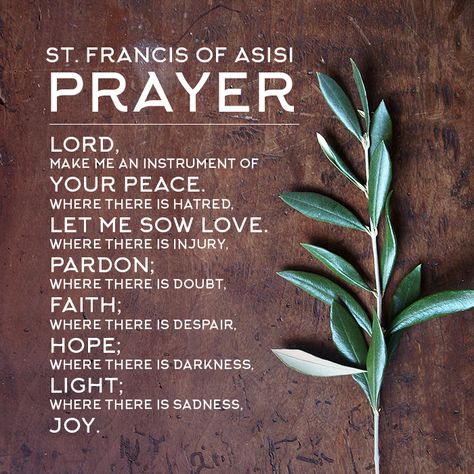 St. Francis of Asisi Prayer #PrayForLife #PrayForPeace #Peace #OliveBranch #Faith #Joy #Love #Light #Hope #Forgiveness Santos, St Francis Prayer, St. Francis, Francis Of Assisi Quotes, St Francis Assisi, Contemplative Prayer, Dead Animals, Godly Play, Saint Quotes Catholic