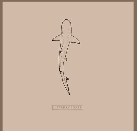 Basic Shark Tattoo, Tiger Shark Tattoo Simple, White Tip Shark Tattoo, Nurse Shark Tattoo Simple, Simple Aquatic Tattoo, White Tip Reef Shark Tattoo, Ocean Inspired Spine Tattoos, Oceanic White Tip Shark Tattoo, Small Shark Tattoo Men