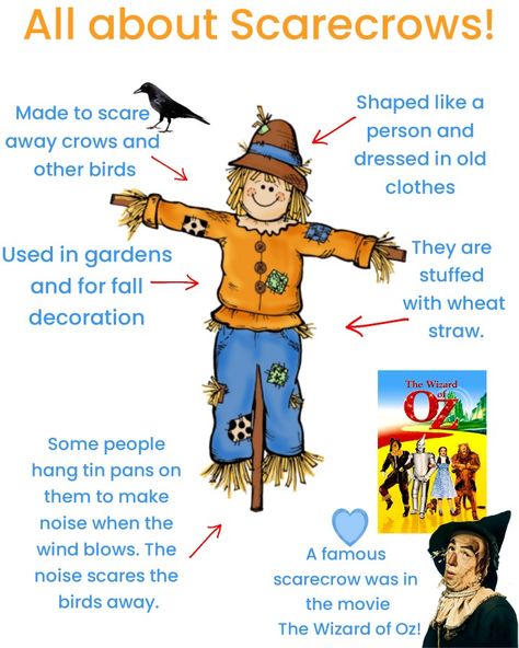 Scarecrow Scarecrow What Do You See, Scarecrow Science Activities, Scarecrow Science Preschool, Scarecrow Games Preschool, Scarecrow Dramatic Play Preschool, Scarecrows Activities For Preschool, Scarecrow For Preschool, Scarecrow Bible Lesson, Scarecrow Lesson Plans For Toddlers