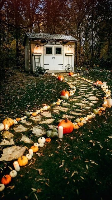 Pumpkin Lined Walkway, Pumpkin Pathway, Cottages And Bungalows, Halloween Scene, Cozy Autumn, Halloween Backgrounds, First Halloween, Autumn Vibes, Autumn Cozy