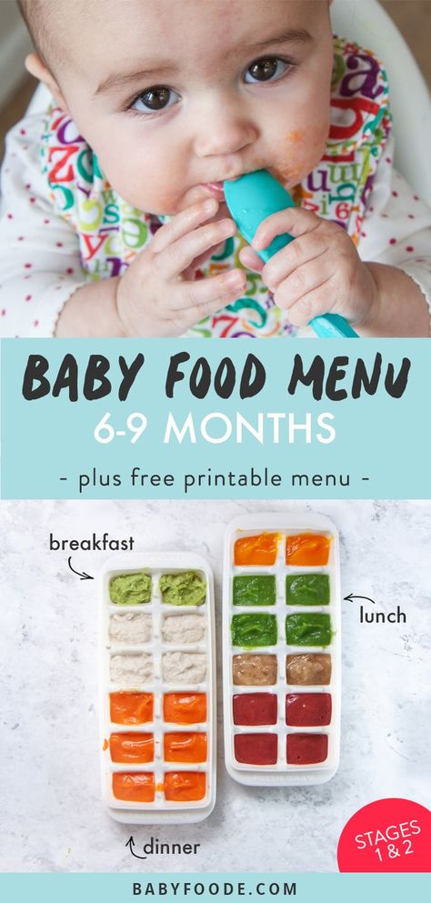 This Baby Food Menu is a great way to get new ideas on what to feed to baby for breakfast, lunch and dinner. Plus, there is a free printable menu so you can map out baby's meals for the week! Great for babies 6-9 months old - Stage 1 and 2. #baby #babymenu #meal #stageone #stagetwo 7 Month Old Food, Baby Lunch Ideas, 7 Month Old Baby Food, 9 Month Old Baby Food, 7 Months Baby Food, Baby Meal Plan, Baby Food Puree, Free Printable Menu, 6 Month Baby Food