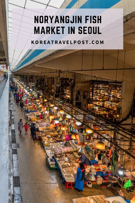 Explore the Noryangjin Fish Market and relish the fresh and local Korean seafood. #koreatravelpost South Korea Itinerary, Korean Seafood, Korea Itinerary, Fresh Seafood Market, Props Concept, Seafood Market, South Korea Travel, Sea Snail, Luxury Marketing