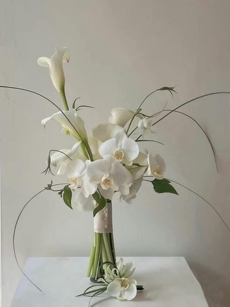 Lily Centerpieces, Modern Bridal Bouquets, Lily Bridal Bouquet, Simple Wedding Bouquets, Tulip Wedding, Calla Lily Bouquet, Tropical Wedding Flowers, Fresh Flower Bouquets, Lily Wedding