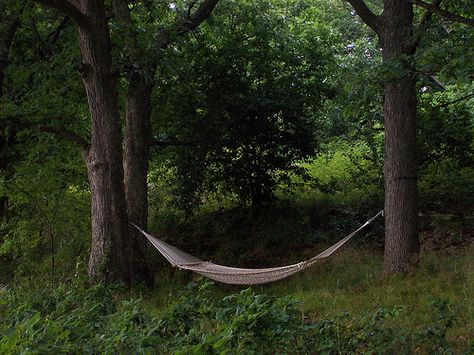 hammocking in the forest Hammock In The Woods, Forest Hammock, Snacks For Hiking, Hammock Aesthetic, Hangout Ideas, Rope Hammock, Rock Cover, Sensory Garden, Park House