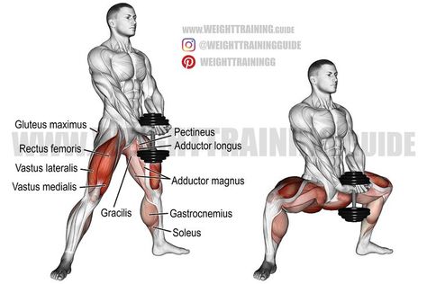 Lower Body Exercises Weights, Dumbell Squats, Ad Workout, Lower Body Exercises, Weight Training Women, Whole Body Workouts, Abs Workout Gym, Leg Day Workouts, Body Exercises