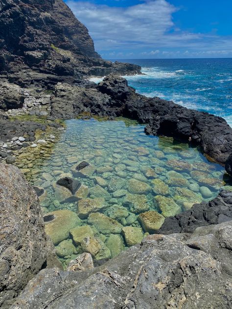 Tidepools Aesthetic, Tidepool Aesthetic, Makapuu Tidepools, Recreate Pics, Mako Island, Hawaiian Ocean, 2024 Travel, Hawaii Ocean, Moving To Hawaii