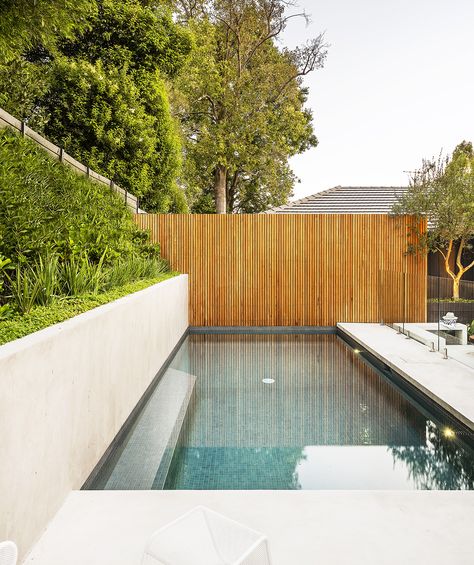 Esjay Landscapes + Pools | Camberwell Landscape Design and Construction Pool Back Wall Ideas, Pool Against Retaining Wall, Modern Timber Fence, Pool Next To Retaining Wall, Pool Next To Wall, Sunken Pool Area, Pool Feature Wall Ideas, Modern Backyard Landscaping With Pool, Swimming Pool Wall Design