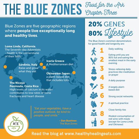 Blue Zone Eating, Blue Zone Diet Dinner Recipes, Blue Zones Meal Plan, The Blue Zone Diet, Mediterranean Diet Blue Zone, Blue Zones Kitchen Recipes, The Blue Zones Challenge, Vegan Blue Zone Recipes, Loma Linda Diet