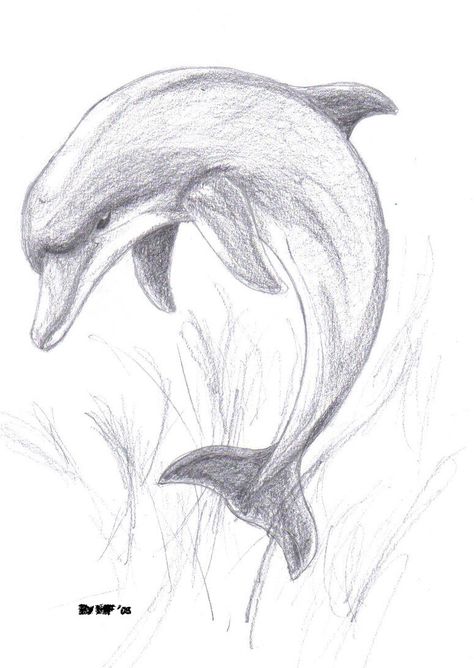 Easy Pencil Drawings, Dolphin Drawing, Pencil Drawings Of Animals, Animal Drawings Sketches, Cutest Animals, Sister Tattoos, Pencil Art Drawings, Art Drawings Sketches Creative, 판타지 아트