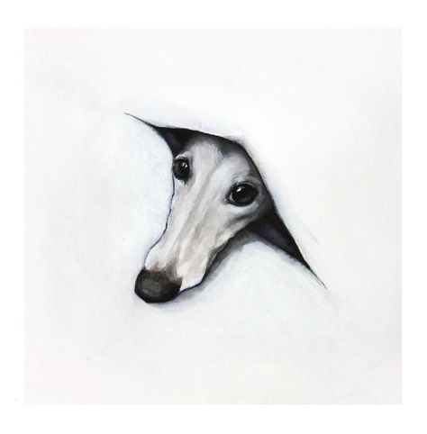 Sarah Henderson, Whippet Art, Greyhound Tattoo, Sight Hounds, Greyhound Art, Beautiful Dog, Dog Illustration, Italian Greyhound, Arte Animal