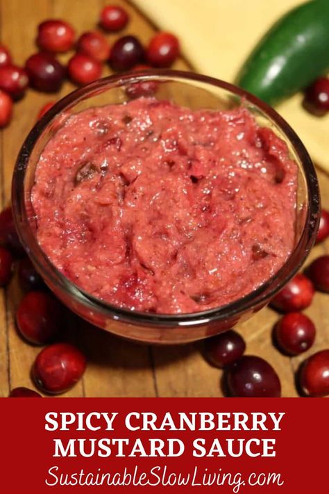 Cranberry Mustard Sauce, Cranberry Mustard Recipe, Mustard Sauce For Salmon, Calgary Christmas, Cranberry Honey, Mustard Sauce Recipe, Cranberry Mustard, Cranberry Meatballs, Honey Mustard Recipes