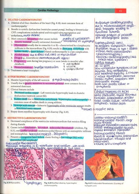 The Complete Guide on How to Study Pathology in Med School http://writtenbykanra.blogspot.com/2018/01/the-complete-guide-on-how-to-study.html How To Study Pathology, Usmle Study Aesthetic, Pathology Notes Medical Students, Pathophysiology Nursing Study Guides, Medschool Notes, Neet Inspiration, Pathology Aesthetic, Mbbs Notes, Pathology Notes