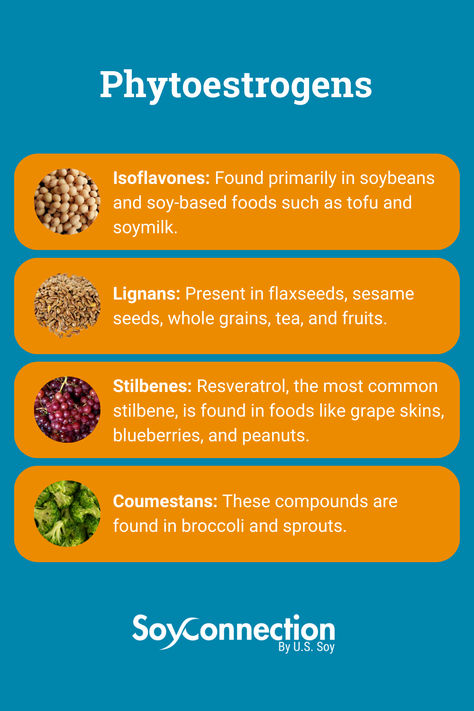 Foods High In Phytoestrogens, Eating Vitamins, Phytoestrogen Foods, Healing Foods, Bone Diseases, Health Hacks, Healing Food, Cardiovascular Health, Bone Health