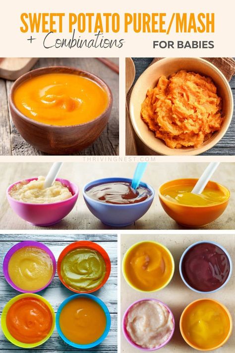 Baby Purée Combinations, Carrot Baby Food Ideas, Baby Food Sweet Potato Recipe, Sweet Potato Baby Recipes, Puree Combinations For Baby, Sweet Potato Recipe For Baby, Sweet Potato Puree Combinations, Sweet Potato Recipes For Babies, Baby Sweet Potato Recipe