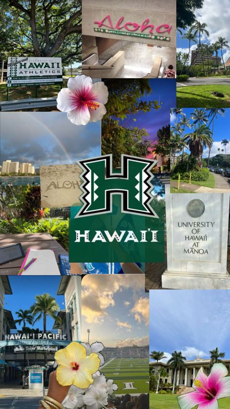 #Hawaii 𖦹 University Of Hawaii Aesthetic, Marine Biology Degree, Hawaii University, College In Hawaii, Uh Manoa, Biology Degree, University Of Hawaii At Manoa, Florida Gulf Coast University, Dream University