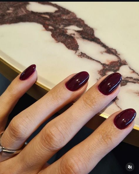 Blood Red Nail Polish, Wine Red Nails Aesthetic, Dark Red Dip Nails, Wine Manicure, Fall Gel Manicure, Caitlyn Core, Carol Core, Oxblood Nails, Nails For 2023