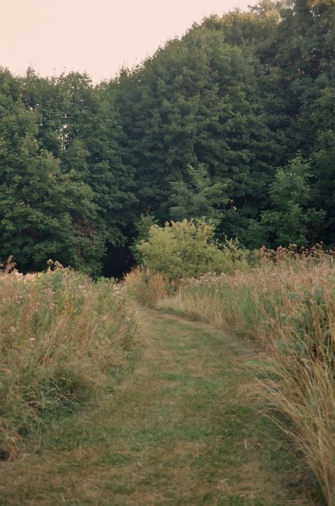 Old Film, Tree Tunnel, Rummage Sale, Film Photos, Nature Aesthetic, Pretty Places, Farm Life, Mother Earth, Nature Beauty