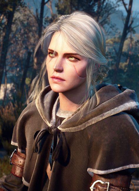 The Witcher, I Said, Video Game