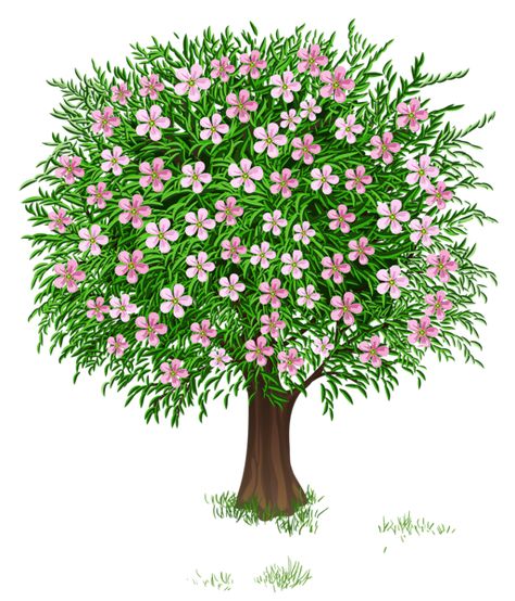 Spring Images, Flowers Drawing, Spring Clipart, Tree Clipart, Spring Tree, Easy Canvas Art, Tree Drawing, Free Clipart, Blossom Trees