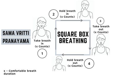 Box Breathing Benefits, Square Breathing, Box Breathing, Pranayama Techniques, Gyan Mudra, Autonomic Nervous System, Deep Breathing Exercises, Lower Abdomen, Body Organs