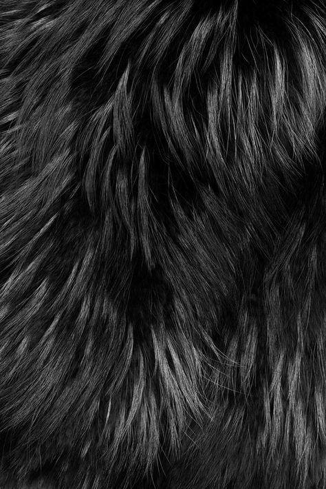 Black Fur Wallpaper, Black Fur Aesthetic, Fur Aesthetic, Fur Bolero, Fur Pattern, Fill The Frame, Fur Texture, Grey Fox, Texture Photography