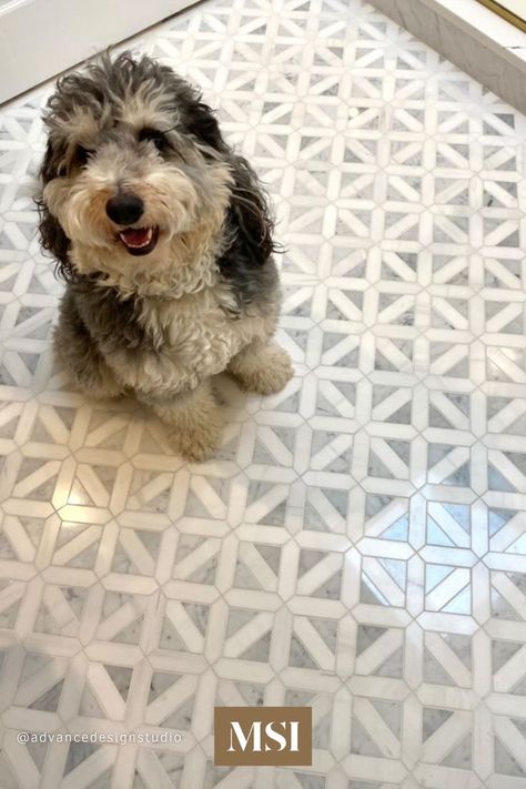 Filed under Bathrooms we Wuff! Advance Design Studio used Bianco Dolomite Geometrica Tile to create this contemporary bathroom. These gorgeous tiles are recommended for a wide range of design installations and are suitable to use as both backsplash tile and floor tile. Beautiful Bathroom Tile Ideas, Fan Tiles Bathroom, Msi Tile Bathroom, Farmhouse Floor Tile Kitchens, Greek Key Tile Bathroom, Bathroom Floor Tiles Patterns, Small Powder Room Floor Tile, Classic Tile Floor Kitchen, Small Bathroom Pattern Tile Floor