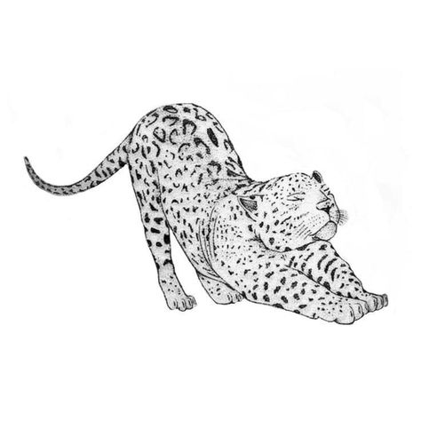 Good And Bad Side Tattoo, Fine Line Leopard Tattoo, Tiger Sketch Tattoo, Jaguar Tattoo For Women, Leapord Tattoo, Leopard Coloring Pages, Tattoo Leopard, Cheetah Tattoo, Leopard Tattoo