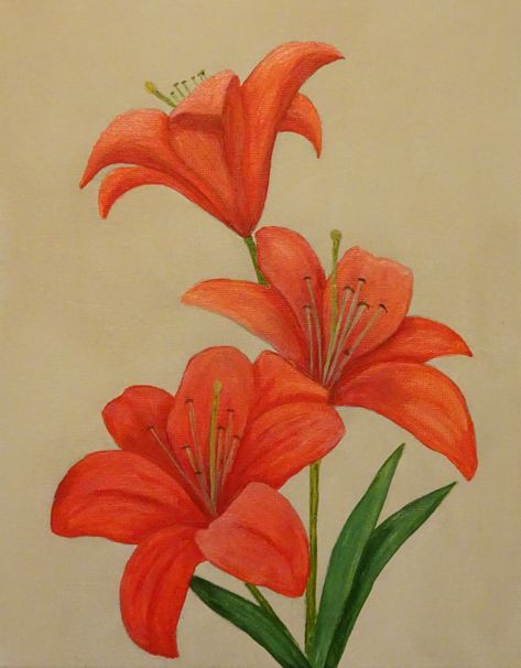 Lilly Flower Drawing, Decoration Craft Ideas, Orange Lily Flower, Flower Gardening Ideas, Pot Drawing, Lily Tattoos, Red Lilies, Lilies Drawing, Bird Painting Acrylic