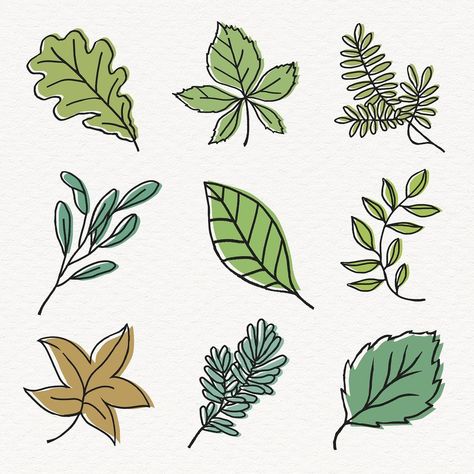 Line Art Collage, Aesthetic Leaf, Leaf Line Art, Sage Green Aesthetic, Craft Ideas Paper, Leaves Sketch, Leaves Doodle, Leaf Collage, Hanging Craft Ideas