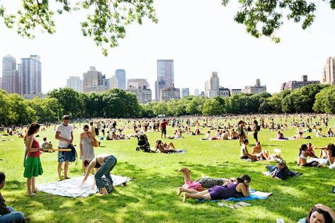 12 Secrets of New York's Central Park      |     Travel | Smithsonian Friends In Nyc, Nyc Landmarks, Meet New Friends, Summer In The City, Park In New York, New York Central, Summer Fridays, Make New Friends, City Guide