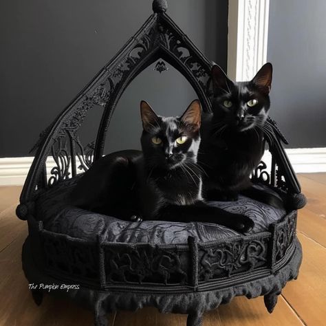 Goth Cat, Goth Houses, Gothic Decor Bedroom, Gothic Furniture, Dark Home Decor, Goth Home, Goth Home Decor, Goth Decor, Cat Beds