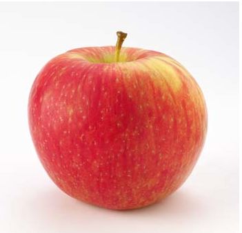 Honeycrisp Honeycrisp Apple, Apple Varieties, Honeycrisp Apples, Favourite Food, Apples, Healthy Snacks, Favorite Things, Domain Name, Honey