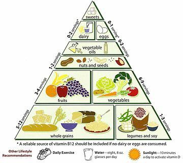 Diet in #Hinduism varies with its diverse traditions. The #ancient and medieval Hindu texts recommend ahimsa—non-violence against all life forms including animals because they believe that it minimizes #animal deaths.Many Hindus follow a vegetarian or lacto-vegetarian diet that are in sync with #nature, compassionate, respectful of other life forms.  Diet of non-vegetarian Hindus can include eggs, fish, poultry and goat meat. Vegetarian Food Pyramid, Gm Diet, Vegetarian Diets, Vegetarian Life, Smoothie Detox, Food Pyramid, Different Foods, Vegetarian Recipes Healthy, Vegetarian Diet