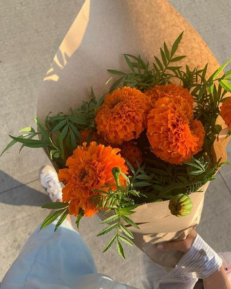 Become A Florist, Flower Boquet, Widget Board, Boquette Flowers, Flowers Color, Marigold Flower, Nothing But Flowers, Flower Therapy, Flowers For You