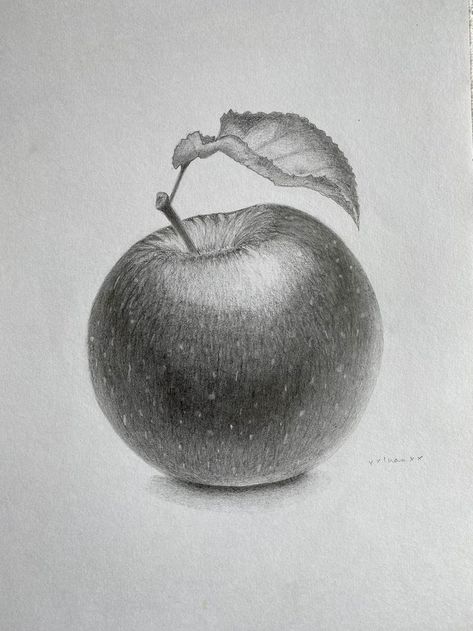 Apple Doodle, Apple Sketch, Drawing Apple, 2b Pencil, Fruits Drawing, Texture Drawing, Pen Art Drawings, Object Drawing, Drawing Exercises