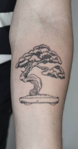 Zen Garden Tattoo, Bonsie Trees Tattoo, Money Tree Tattoo, Bonsai Tree Tattoo, Dead Tree Tattoo, Enso Tattoo, Bonsai Tattoo, Bonsai Tree Tattoos, Tree Tattoo Back