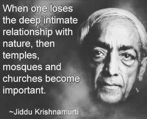 J. Krishnamurti Quotes | 💜💜💜 | Facebook J Krishnamurti Quotes, Krishnamurti Quotes, J Krishnamurti, Quotes Facebook, Jiddu Krishnamurti, Words Worth, Badass Quotes, Mom Quotes, Quotable Quotes