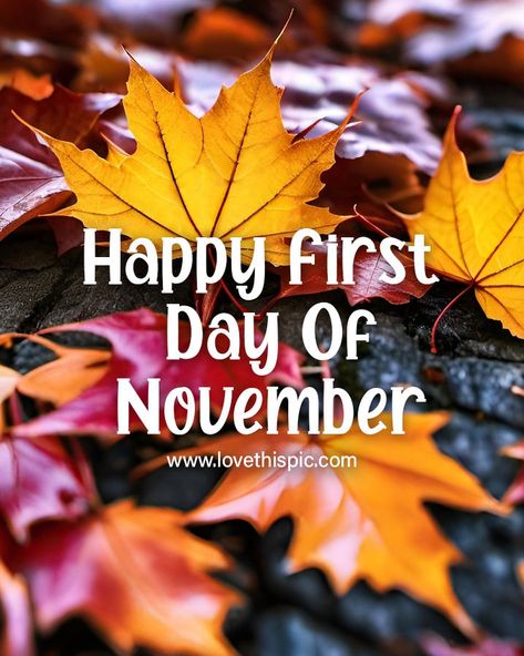 Happy First Day Of November, First Day Of November, November Pictures, Tumblr Image, Social Networking Sites, Personal Website, Facebook Image, Inspirational Pictures, Pictures Images