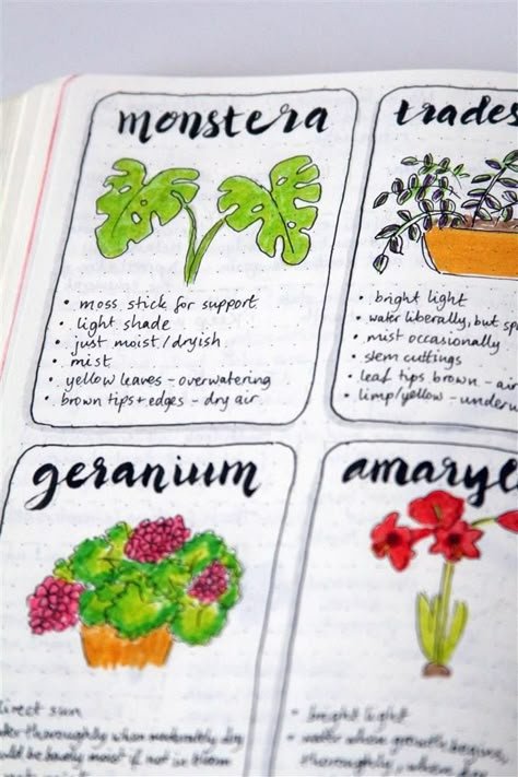 Hobby Journal Ideas, Plant Project Ideas, Garden Journal Ideas, Plant Scrapbook Ideas, Herbarium Book Ideas, Plant Journal Ideas, Journal Ideas Plants, Plant Care Journal Ideas, Plant Scrapbook