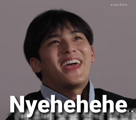 Seventeen Funny Faces, Seventeen Meme, Seventeen Memes, Seventeen Going Seventeen, Cute Jokes, Kpop Meme, Funny Kpop Memes, Seventeen Album, Mingyu Seventeen