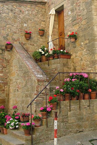 tuscan    I love this entry, but it would not work with my husbands wheelchair. --Shared by WhatnotGems.Etsy.com Flower Boxes, Potted Plants, Villa, Cottage, Building, Stone, Plants, Flowers