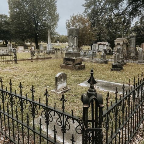 Cemetry Gates, Gate Tattoo, Graveyard Fence, Overgrown Cemetery, Old Cemetery Photography, Cemetery Gates, Southern Gothic Cemetery, Spooky Witch, Haunted Castle